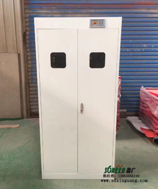 實(shí)驗(yàn)室雙鎖氣瓶柜 試劑柜危化品保險柜化學(xué)儲存柜